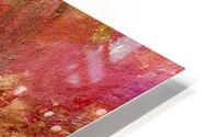 Exotique  HD Metal print