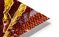 Energie  HD Metal print