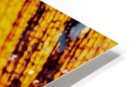 Reflets HD Metal print