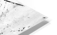 Impression  HD Metal print