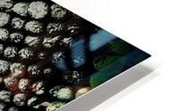 Kaki HD Metal print