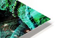 Bijoux  HD Metal print