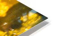 Dualite  HD Metal print