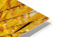 Dorures HD Metal print