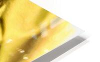 Texture doree  HD Metal print