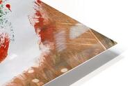 Cocon HD Metal print