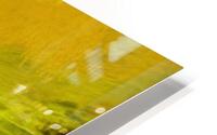 Rapides  HD Metal print