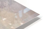 Terres humides  HD Metal print