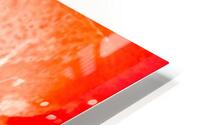 Parois  HD Metal print