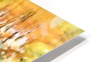 Limitation  HD Metal print