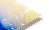 Peche blanche  HD Metal print