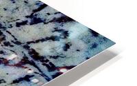 Zebrette HD Metal print