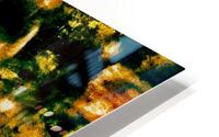 Sacrifice  HD Metal print