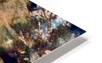 Le poisson effraye  HD Metal print