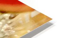 Degivrage HD Metal print