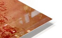 En terre battue  HD Metal print