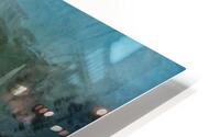 Ravin HD Metal print