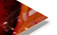 Indescriptible  HD Metal print