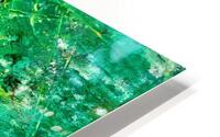 Algues vertes HD Metal print