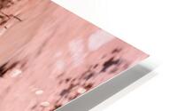 Ecorce rose  HD Metal print