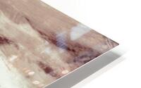 Hiver gris  HD Metal print