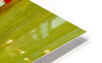 Verticalite  HD Metal print