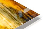 Vue panoramique  HD Metal print