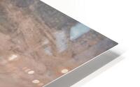 Dunes de lichen HD Metal print