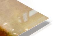 La plaine  HD Metal print