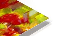 Perroquet  HD Metal print