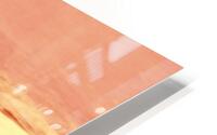 Le domaine  HD Metal print