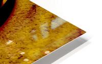 Serpentins  HD Metal print