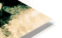 Ilot de coniferes  HD Metal print