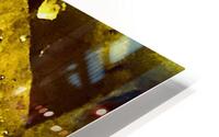 Tout ce qui brille  HD Metal print