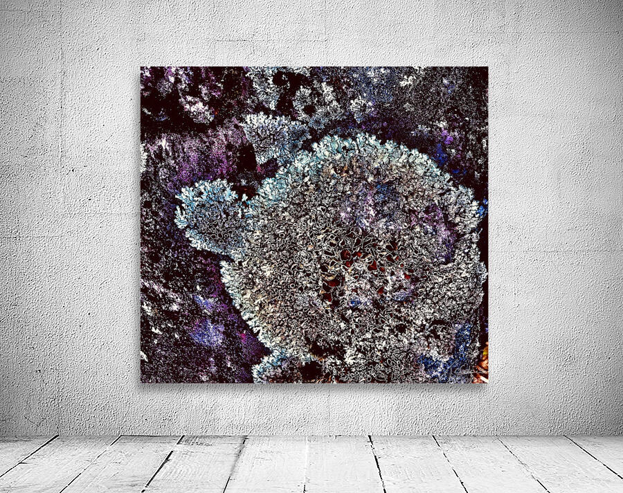 Chardonnerets 2 Wall Preview