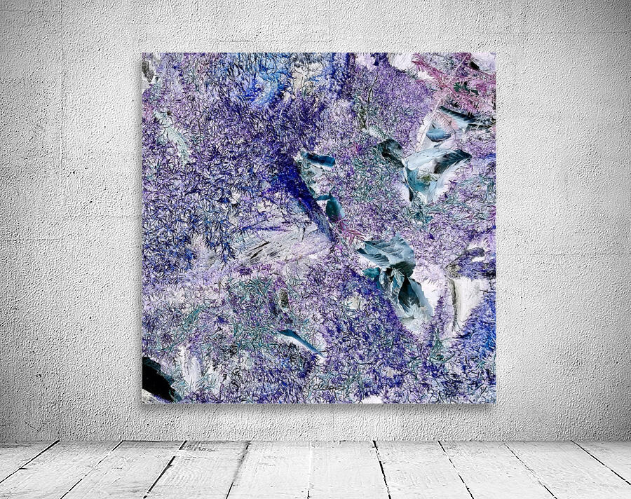 Violet Wall Preview