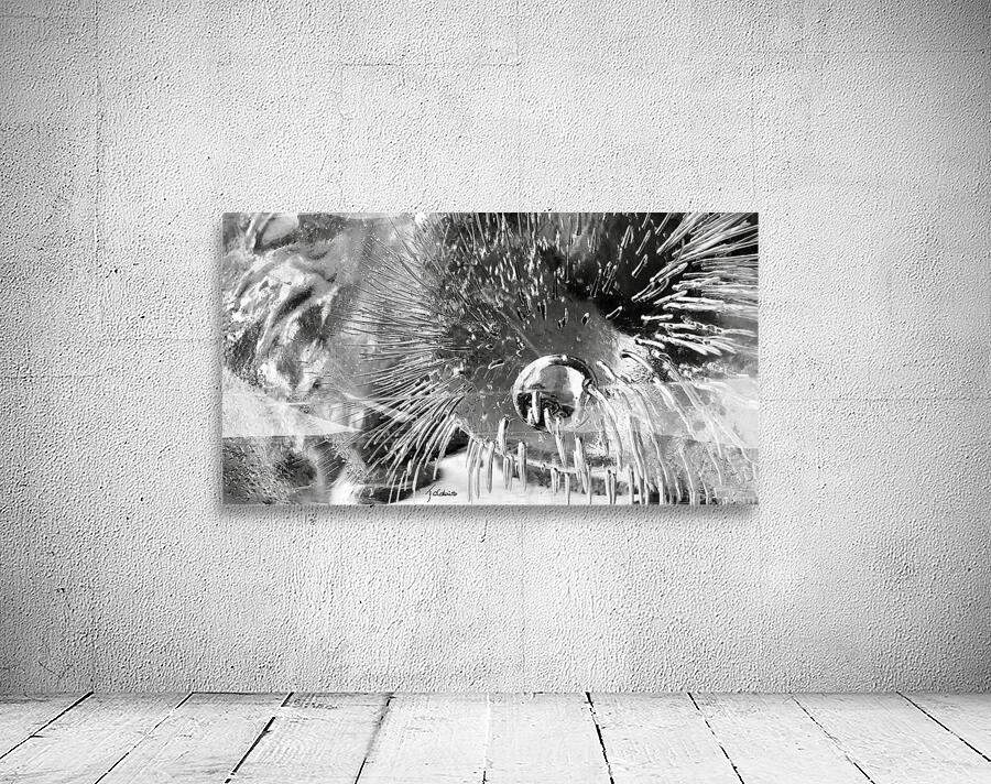 Eau glacee  Wall Preview