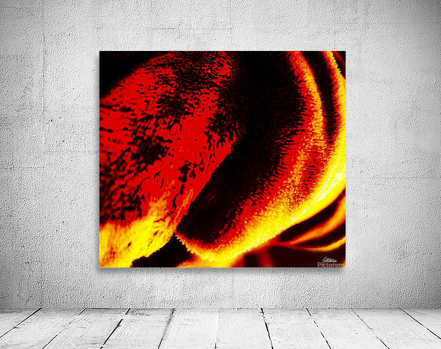 Douceur Wall Preview