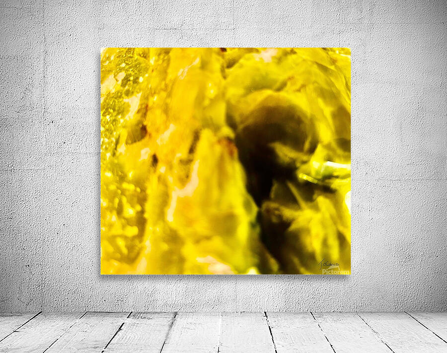 Decouverte  Wall Preview