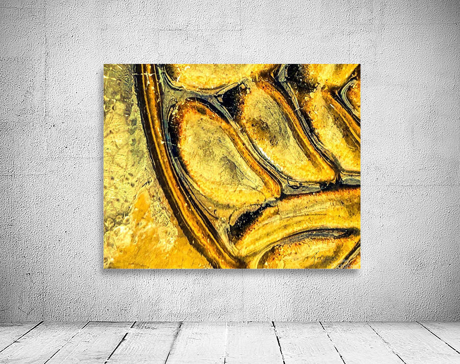 Fossiles  Wall Preview