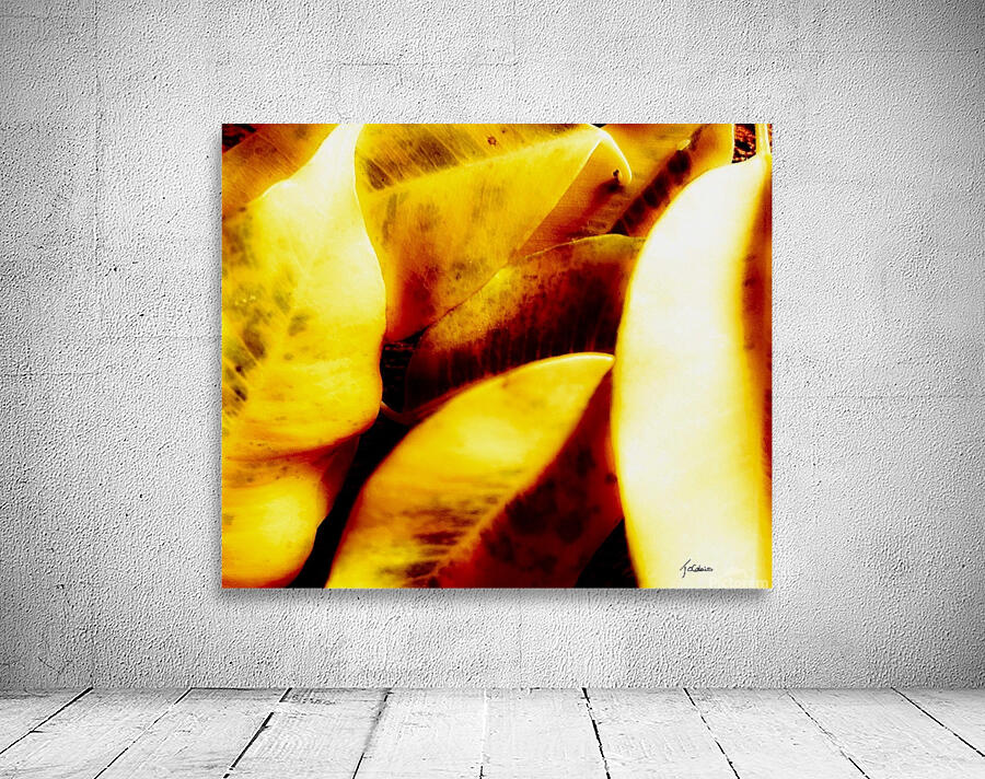 Leurs separations  Wall Preview