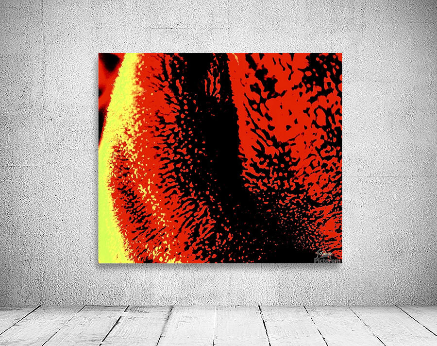 Pelucheux  Wall Preview
