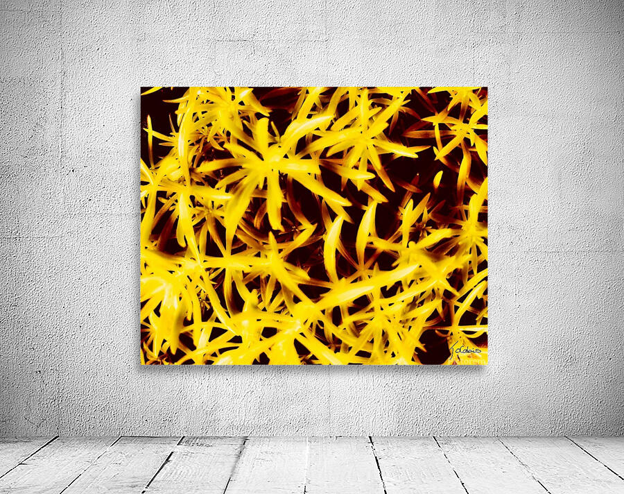 Etoiles dorees  Wall Preview