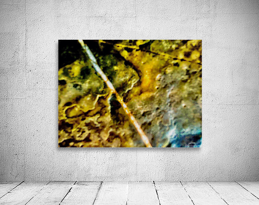 Ligne blanche  Wall Preview