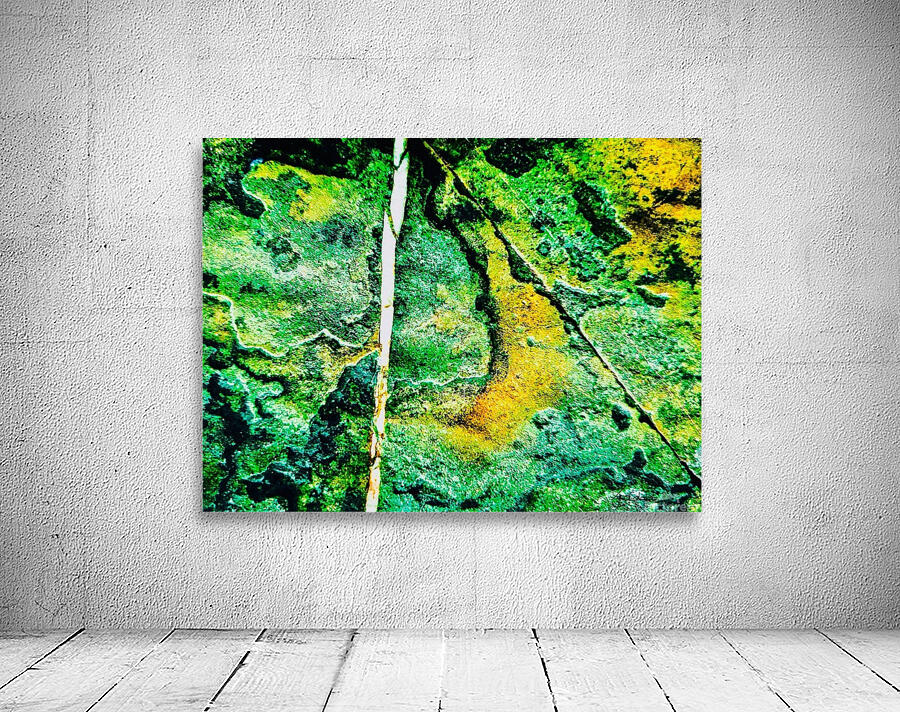 Pierre eponge Wall Preview