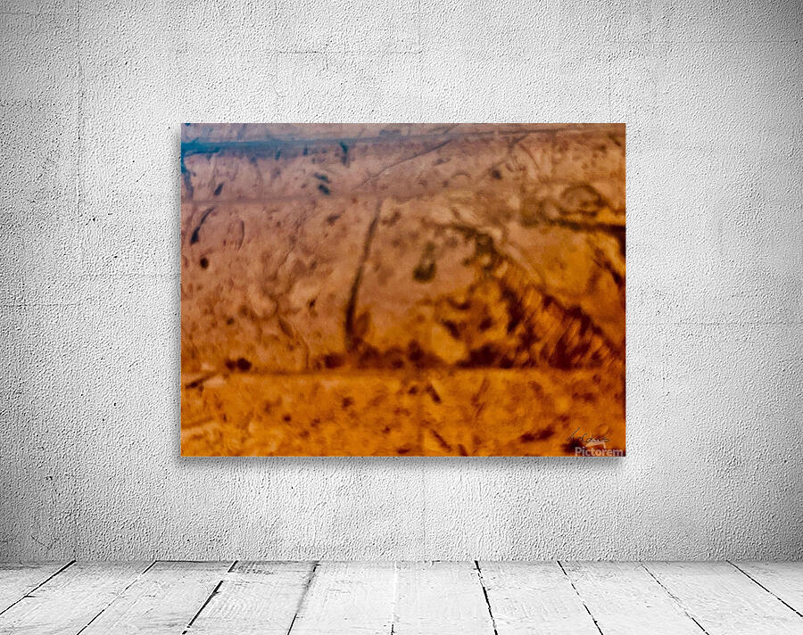 Fossiles  Wall Preview