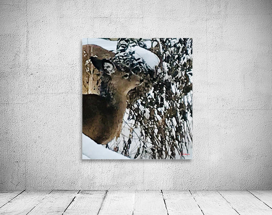Cerf gourmand  Wall Preview