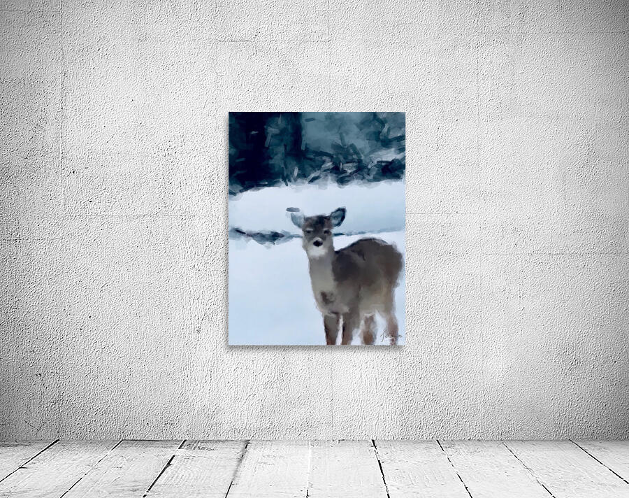 Cerf surpris  Wall Preview
