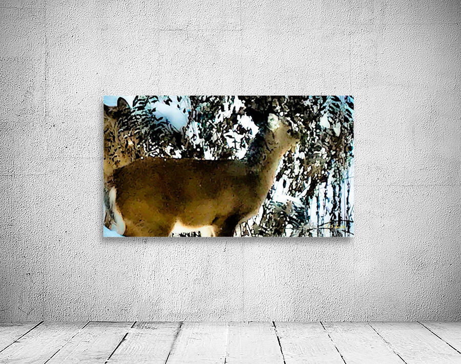 Cerf gourmand  Wall Preview