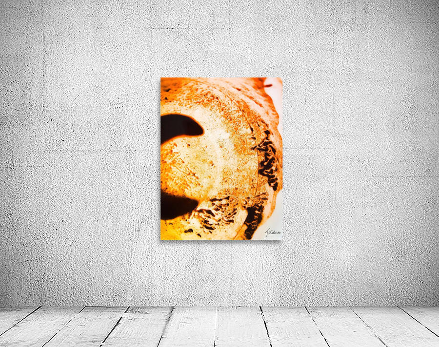 Croissant  Wall Preview